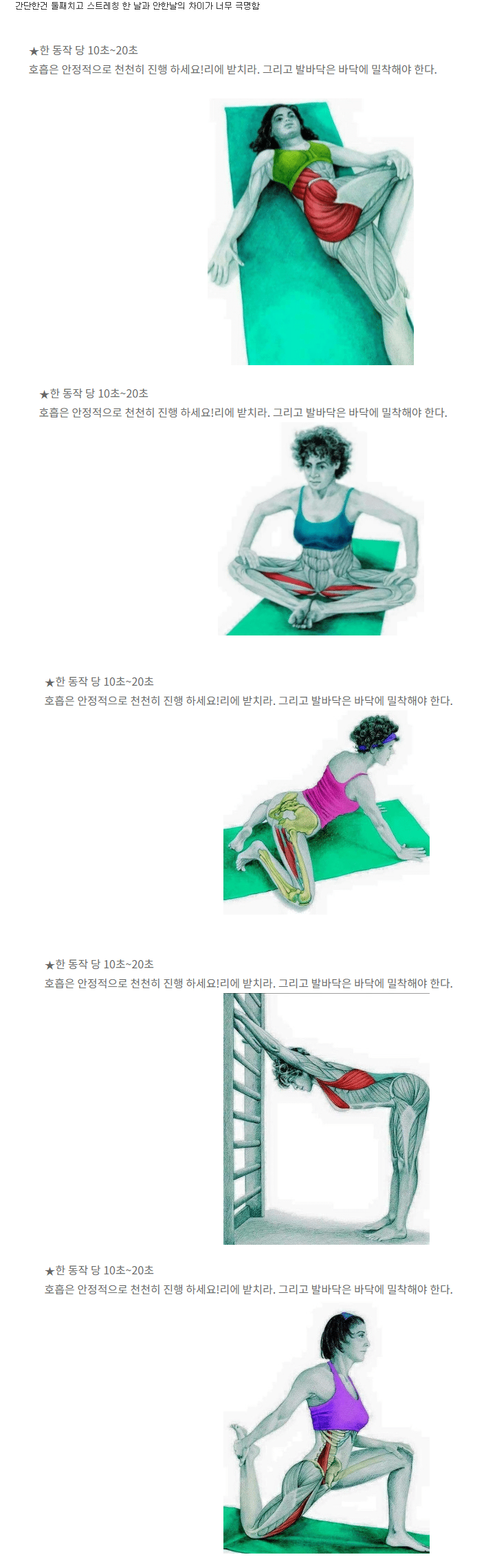  허리 통증을 없애주는 근육 스트레칭