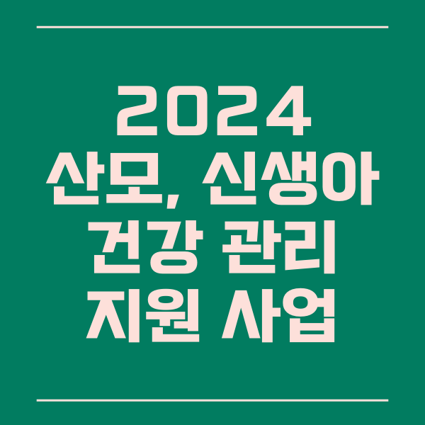  2024 산모 신생아 건강 관리 지원 사업 안내, 신청, 지침