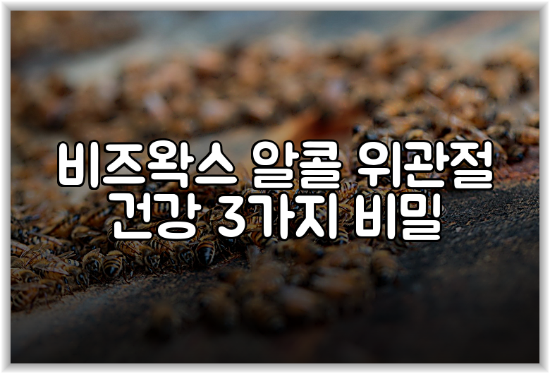 비즈왁스 알콜 위관절 건강 3가지 비밀