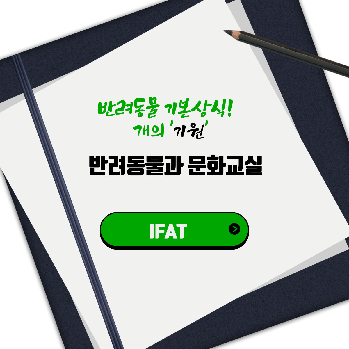  반려동물 기본상식! 개의 '기원'