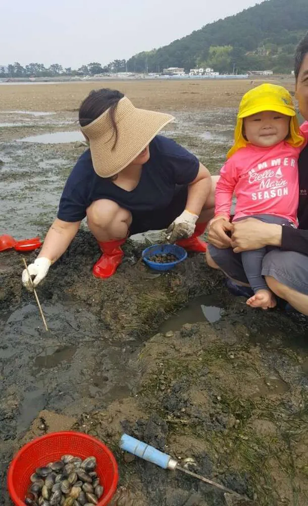 금천갯벌체험장