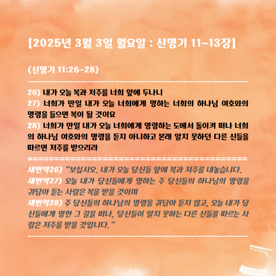 11-13 이미지