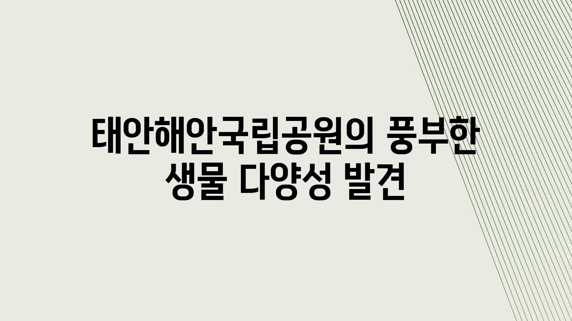 태안해안국립공원의 풍부한 생물 다양성 발견