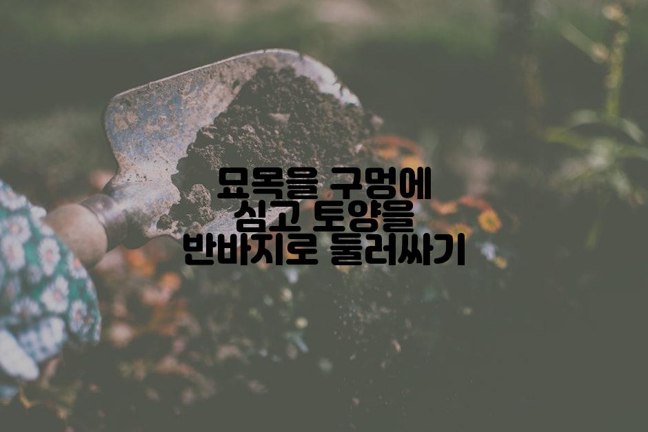 묘목을 구멍에 심고 토양을 반바지로 둘러싸기