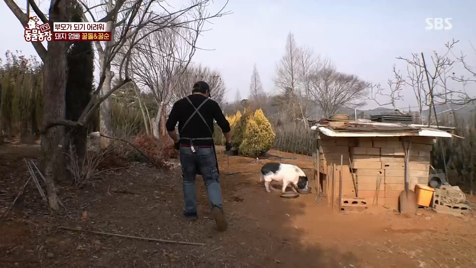 TV 동물농장.E1110.230305p.H264-F1RST.mp4_20230305_183153.839.jpg