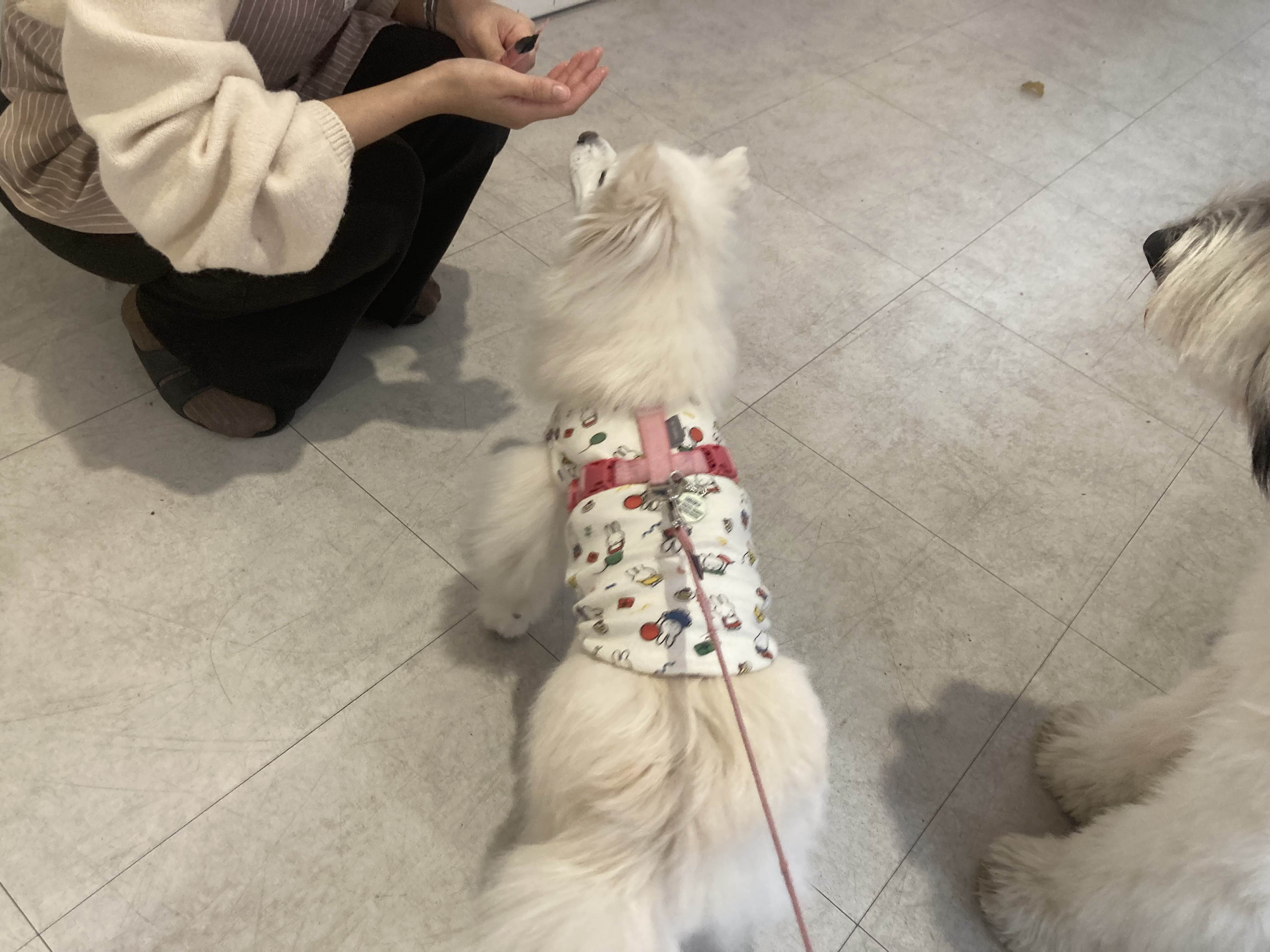 누을(Nueul) 이미지