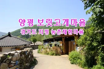 양평 가볼만한곳 베스트10 현지인 추천 필수코스_3