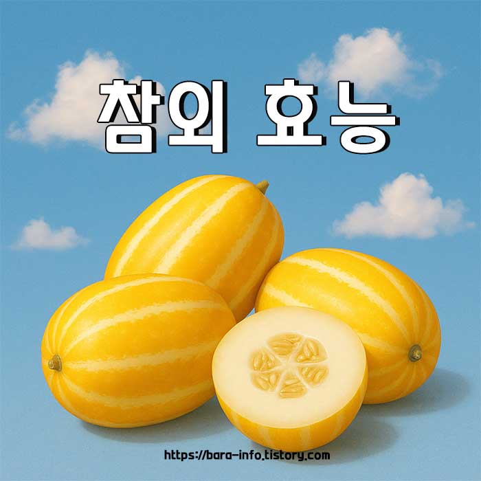 참외 효능