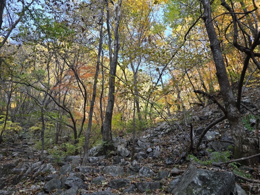 소백산국립공원 희방사코스 이미지