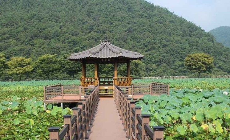 고성 가볼만한곳 베스트10 알아보자