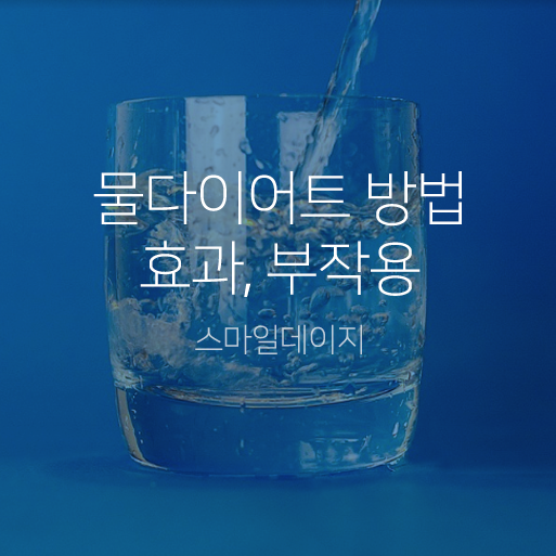 연예인 물다이어트 효과 / 물다이어트 하는 법 /부작용 알아보기