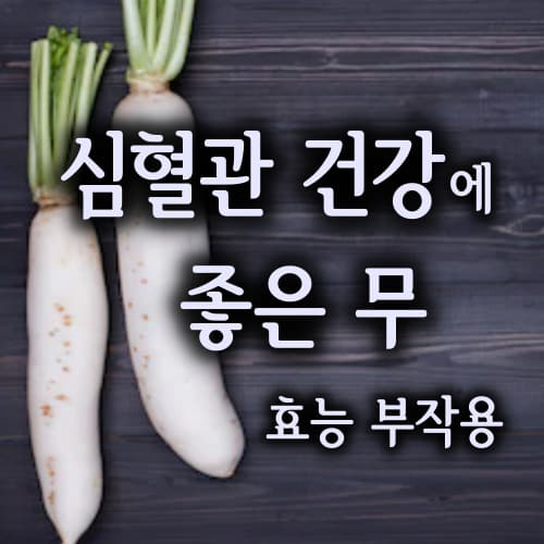  심혈관 건강을 책임지는 뿌리채소 무 무즙 효능 부작용/daikon, white radish