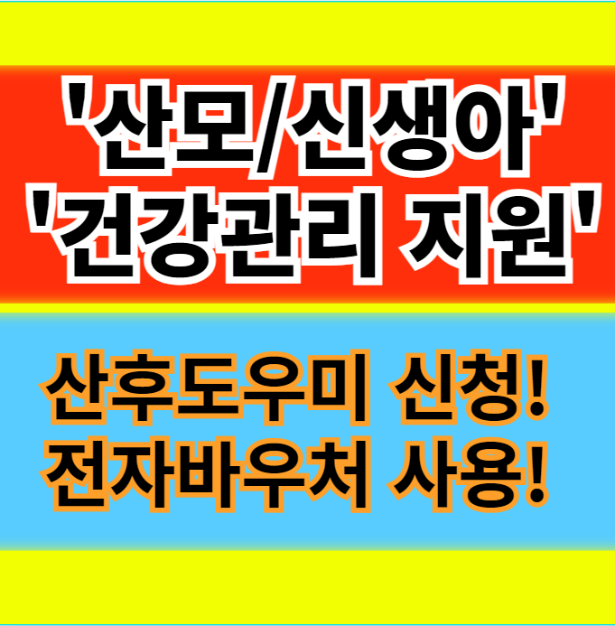  산모신생아 건강관리 지원사업(산후도우미, 이용방법, 전자바우처, 온라인 신청) 정보
