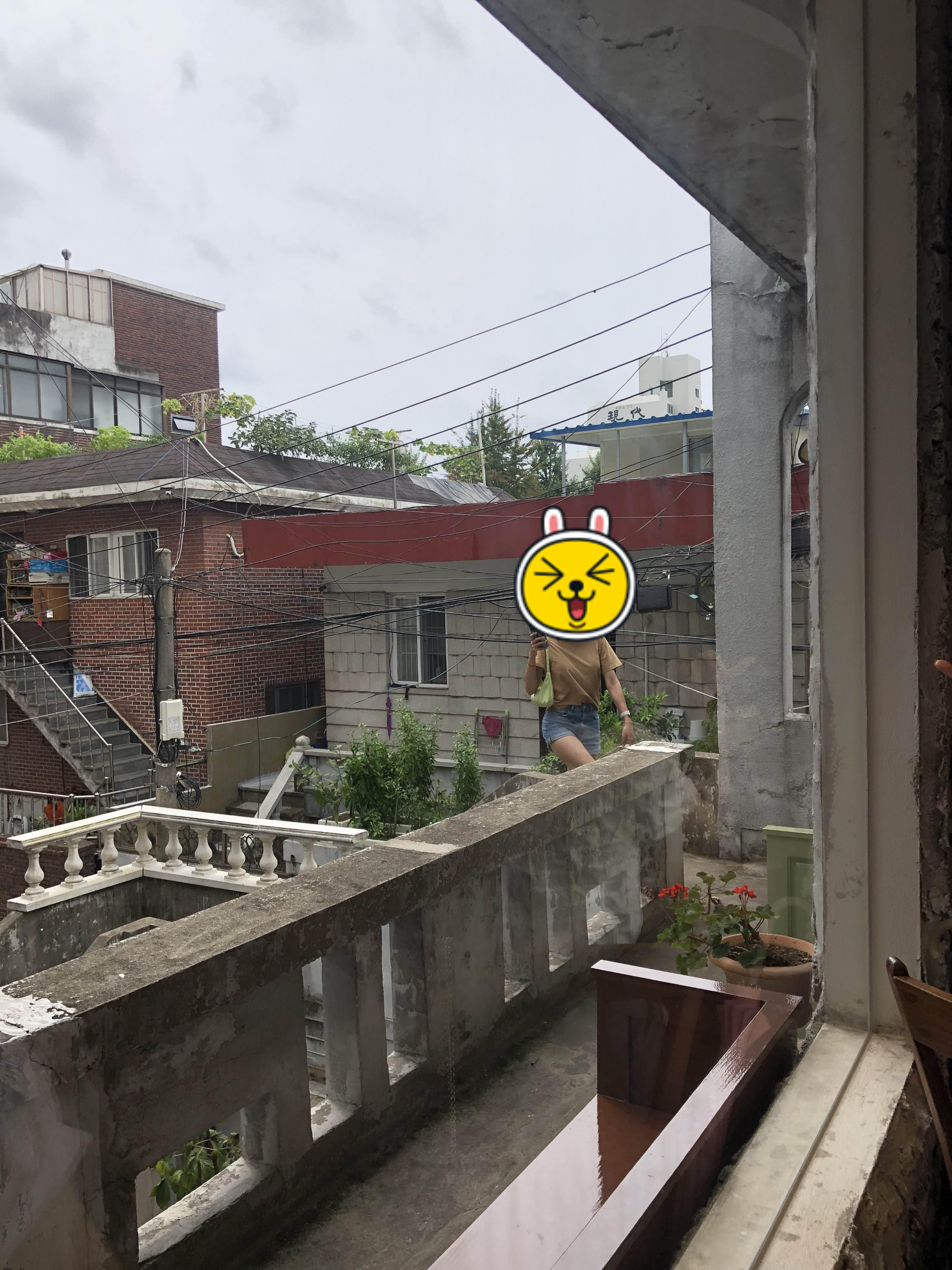 카멜