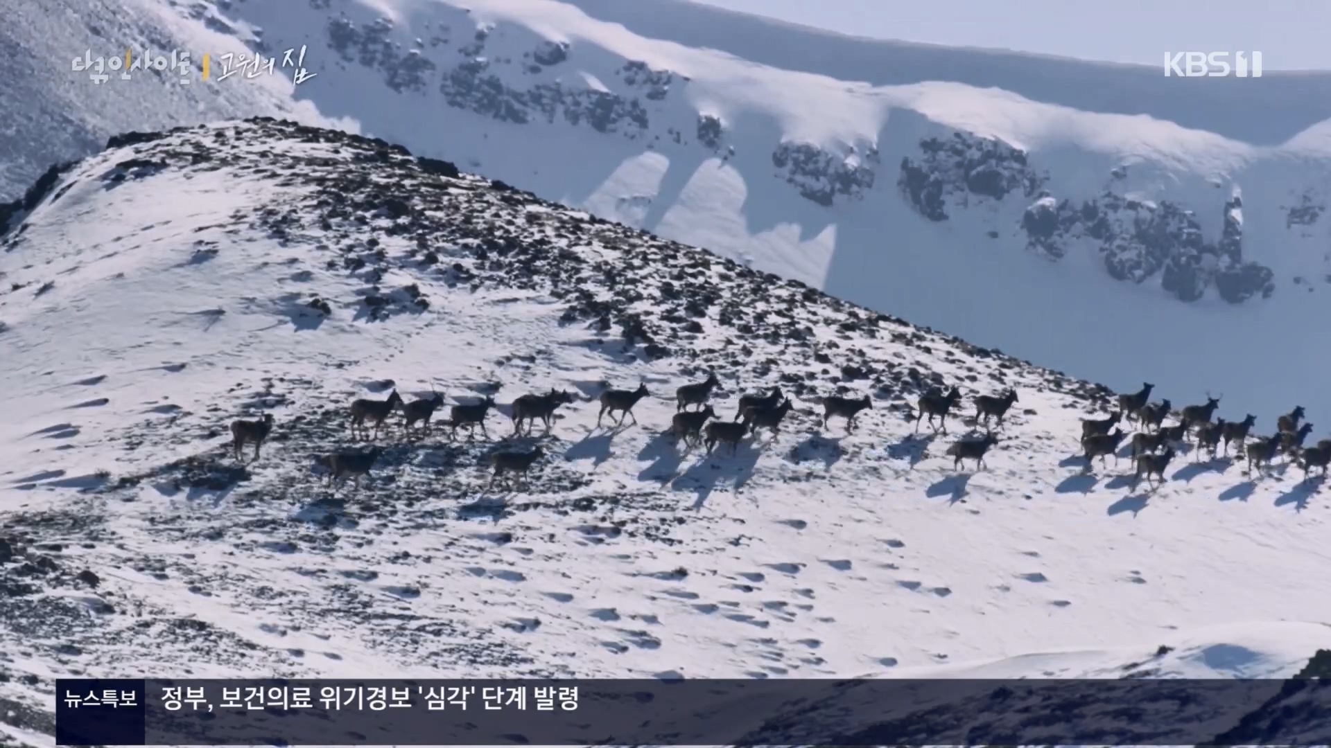 다큐 인사이트.E176.240328p.H264-F1RST.mp4_20240330_162407.016.jpg