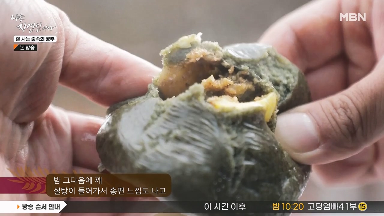 나는 자연인이다.E582.231130p-NEXT.mp4_20231130_200827.720.jpg