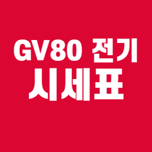 엔카 GV80 전기