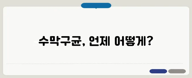 수막구균 예방접종 필요성 및 접종 시기