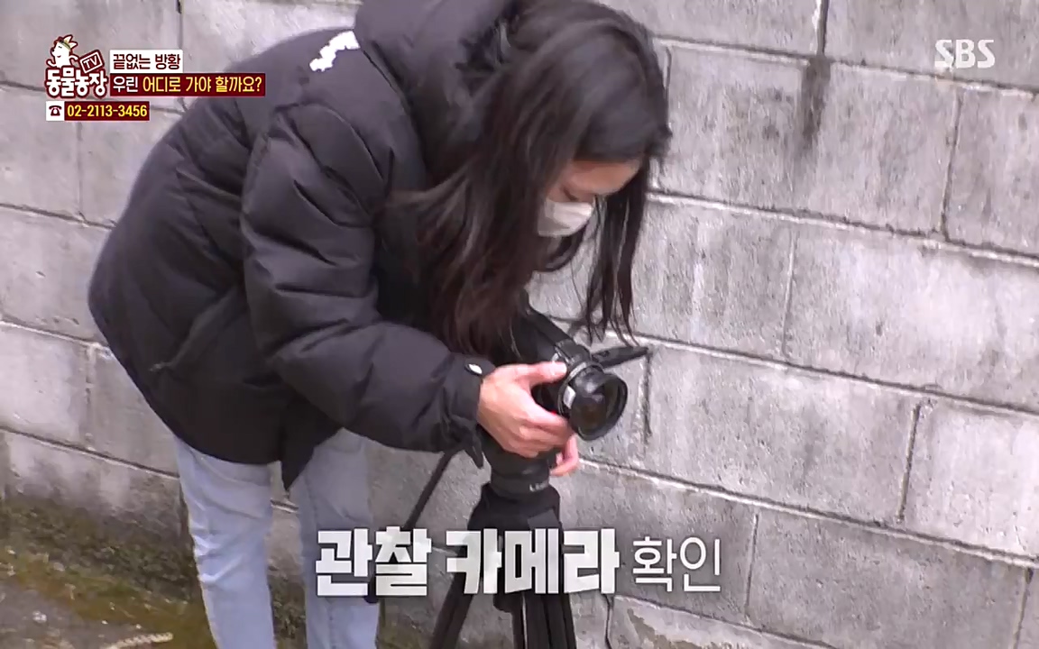 TV 동물농장.E1065.220418p-NEXT.mp4_20220417_181315.838.jpg
