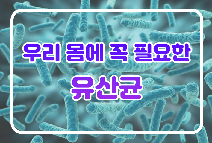  우리 몸에 꼭 필요한 유산균 영양제 추천, 6가지 장점, 복용방법