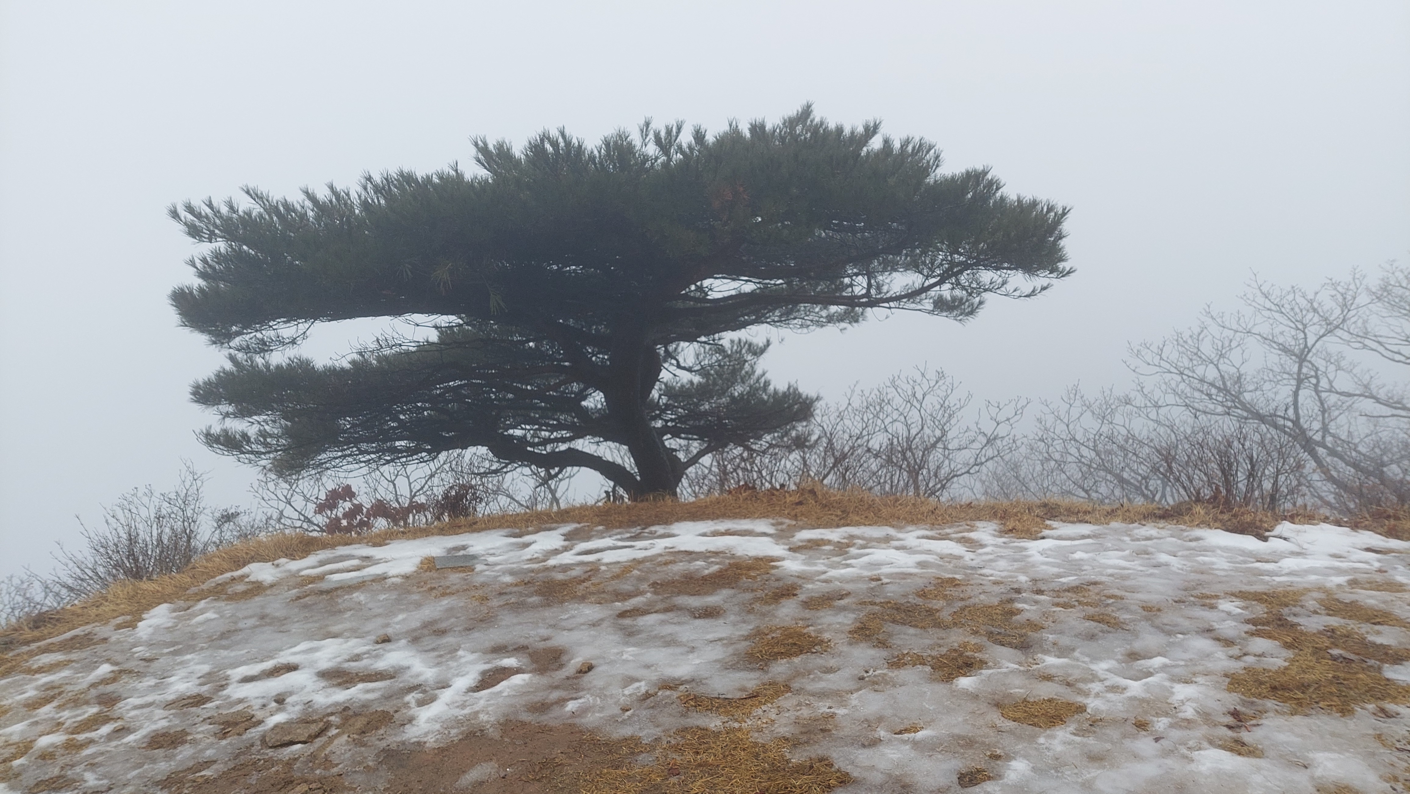 팔공산 동화사 31