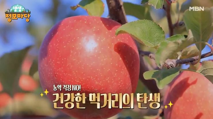 사과 무농약 전국 택배 주문 추천