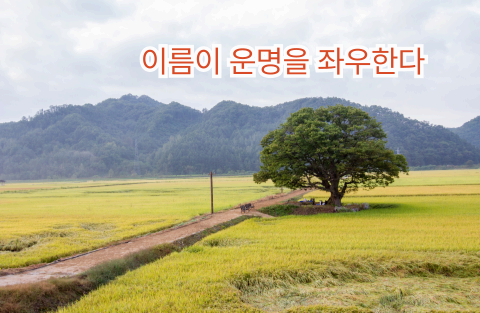 이름이 인생과 운명을 좌우할 수 있다는 의미를 담은 풍경 이미지