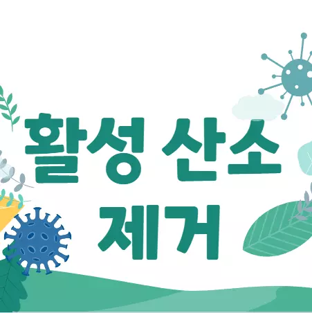 활성산소