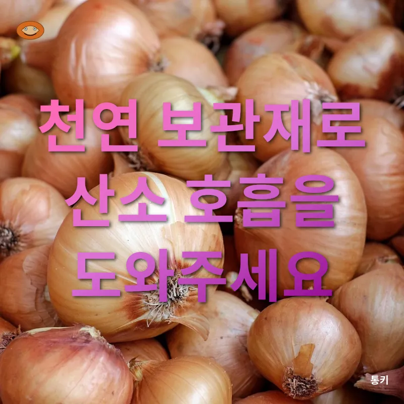 채소 신선도 유지_1