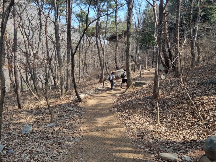 산책로