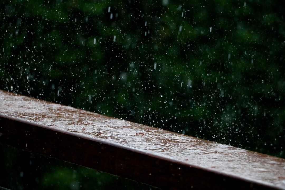 Rain