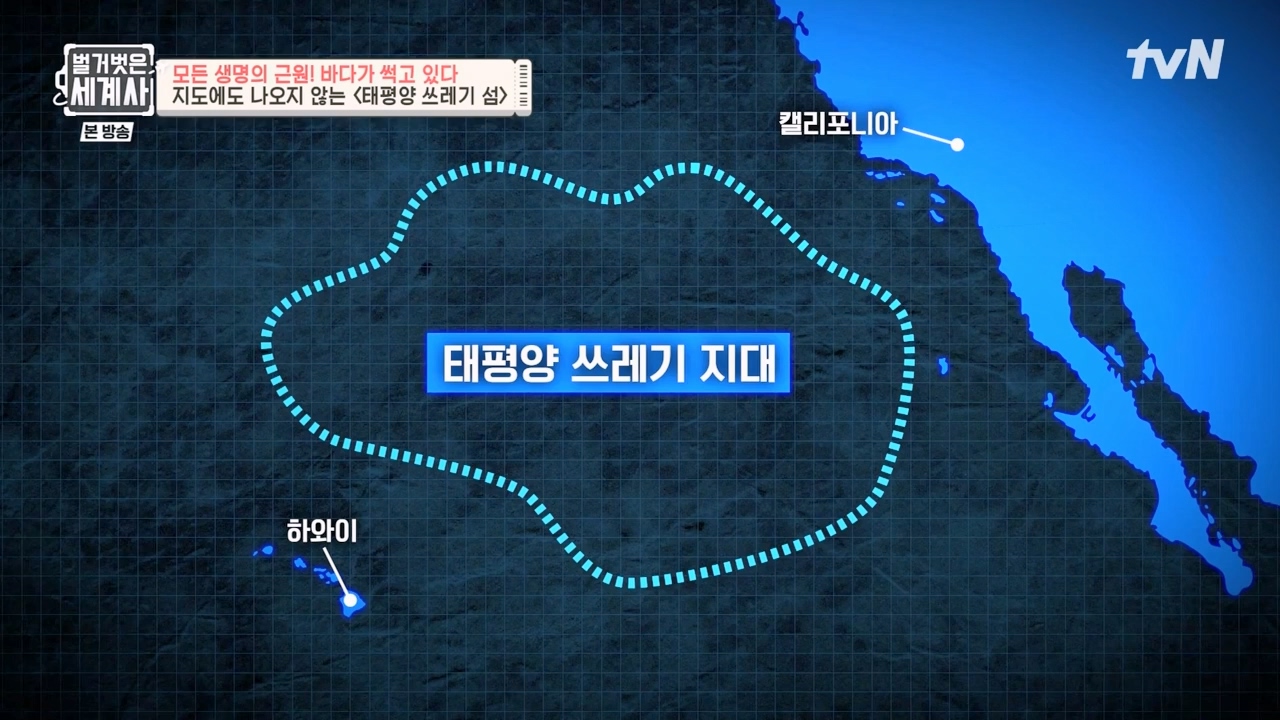 벌거벗은 세계사.E90.230315p-NEXT.mp4_20230419_204139.812.jpg