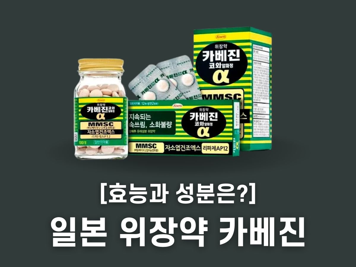 카베진 효능