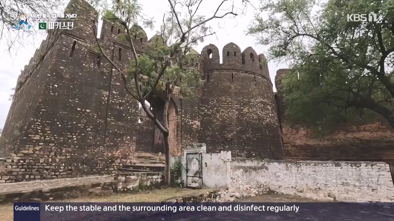 걸어서 세계속으로.E817.231112p-NEXT.mp4_20231114_213230.566.jpg