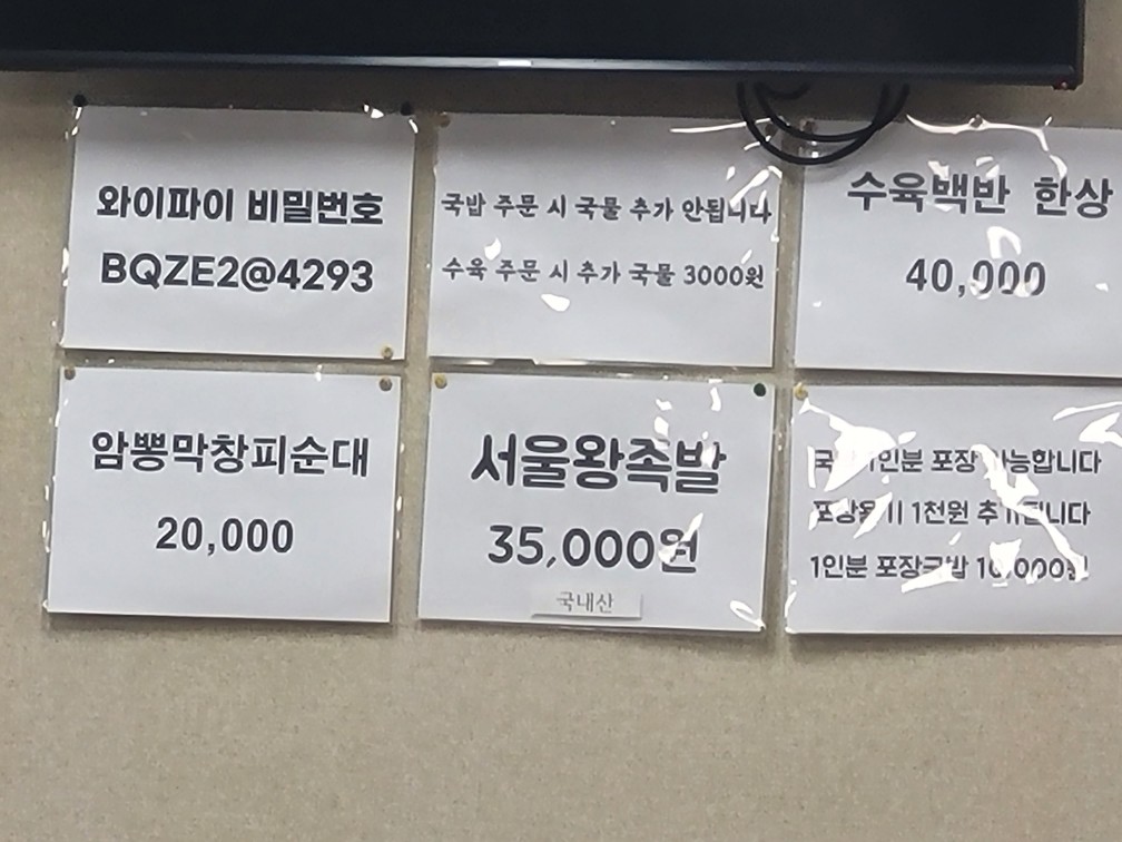 진주 초전동 오정돼지국밥