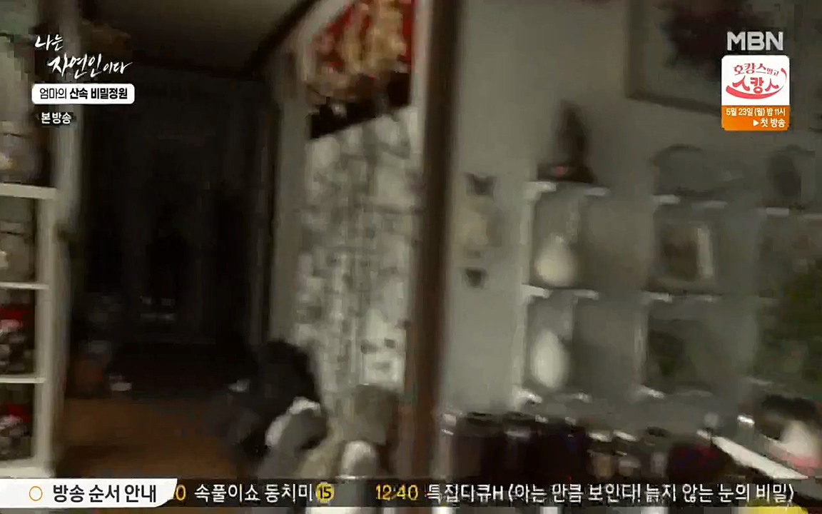 나는 자연인이다.E501.220512p-NEXT.mp4_20220512_185708.490.jpg