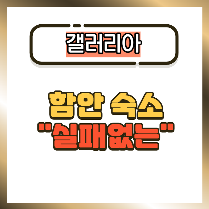 &quot;실패❌NO! &quot; 함안 숙소 🏤 갤러리아