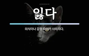 잊다 잃다 차이 맞춤법 비교_27