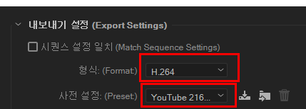 형식: H264