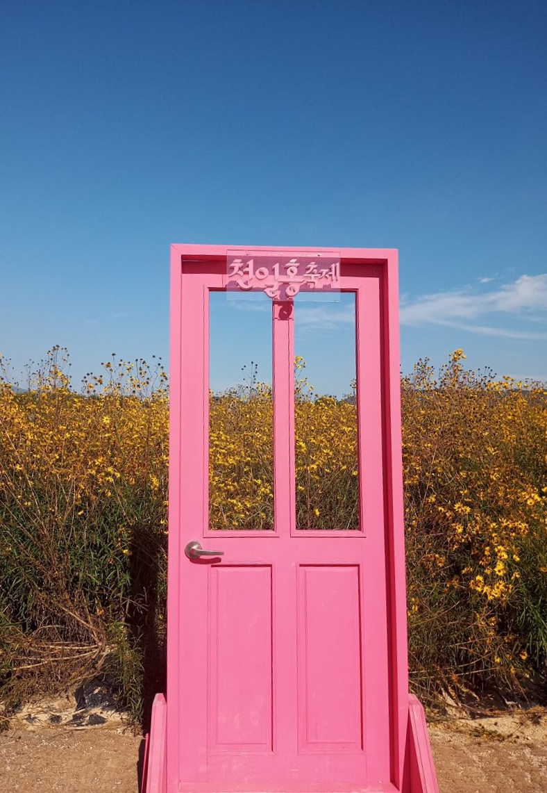 노란-꽃밭-앞에-설치된-분홍색-문을-찍은-사진