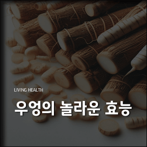  흙 속 보석 우엉의 놀라운 7가지 효능