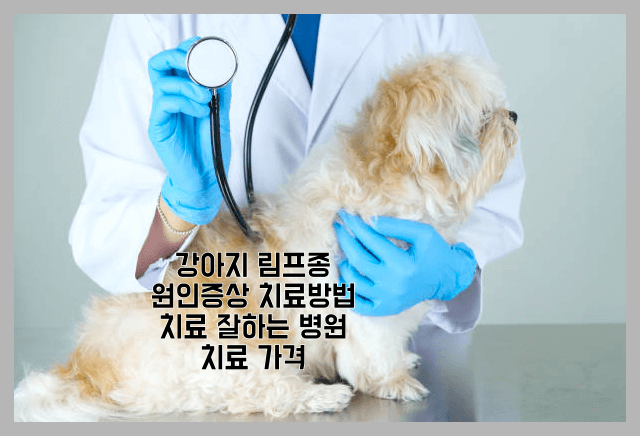 애완동물 림프종 림프절 림포마 증상원인 치료비용