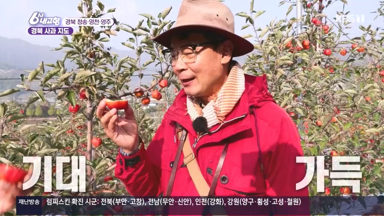 6시 내고향.E7907.231108p.H264-F1RST.mp4_20231108_204729.135.jpg