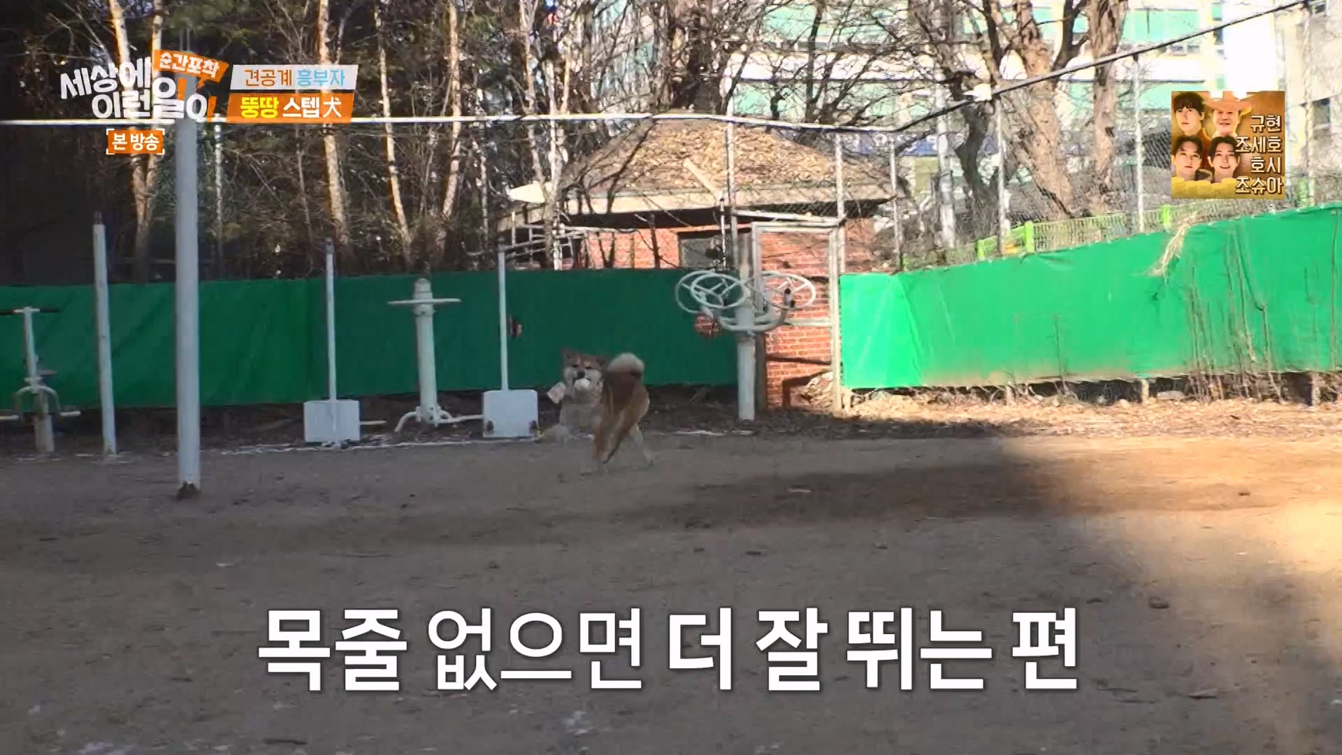 순간포착 세상에 이런일이.E1261.240120p-NEXT.mp4_20240121_133930.982.jpg