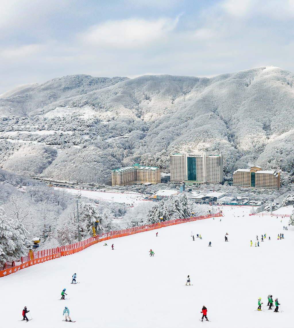 비발디파크 