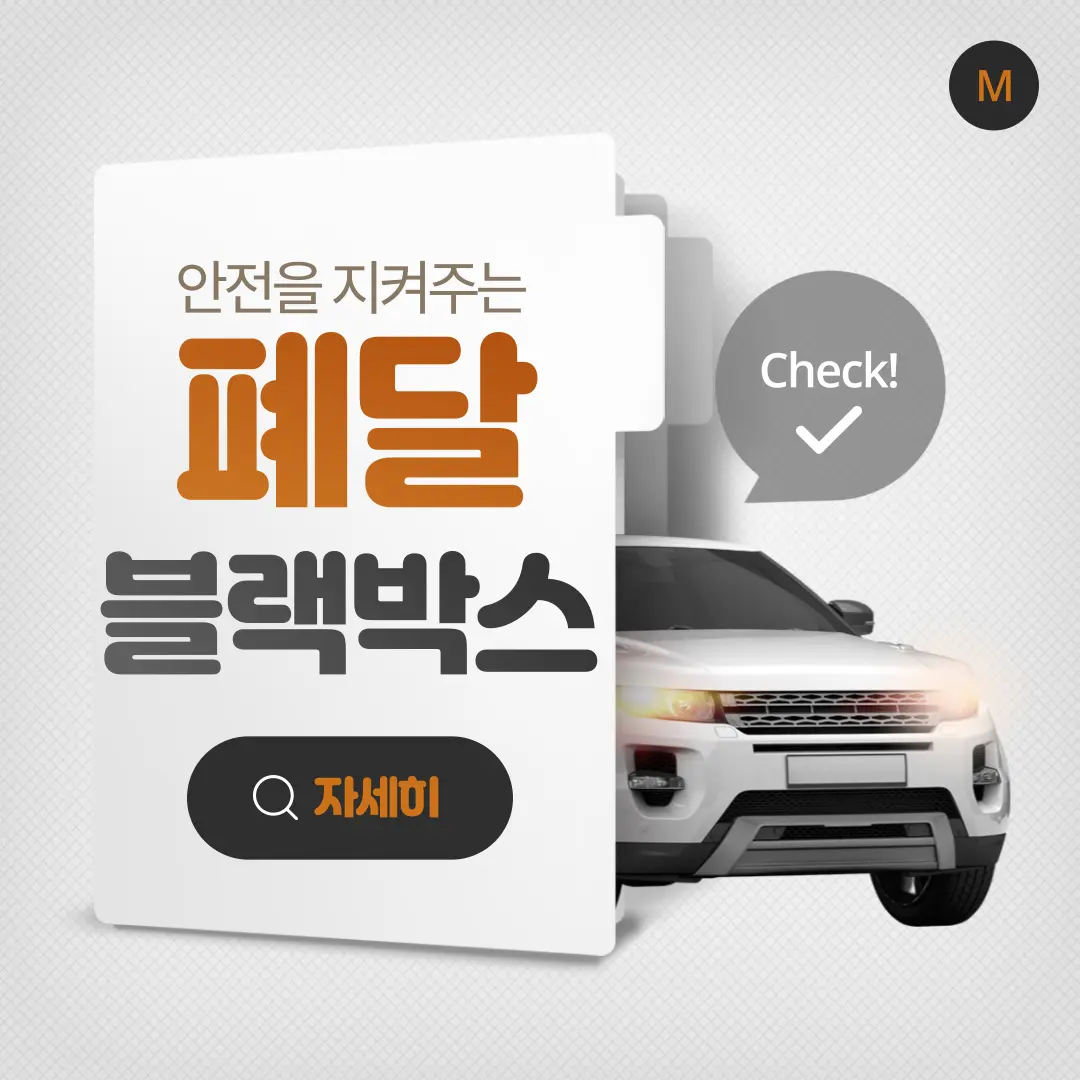페달 블랙박스