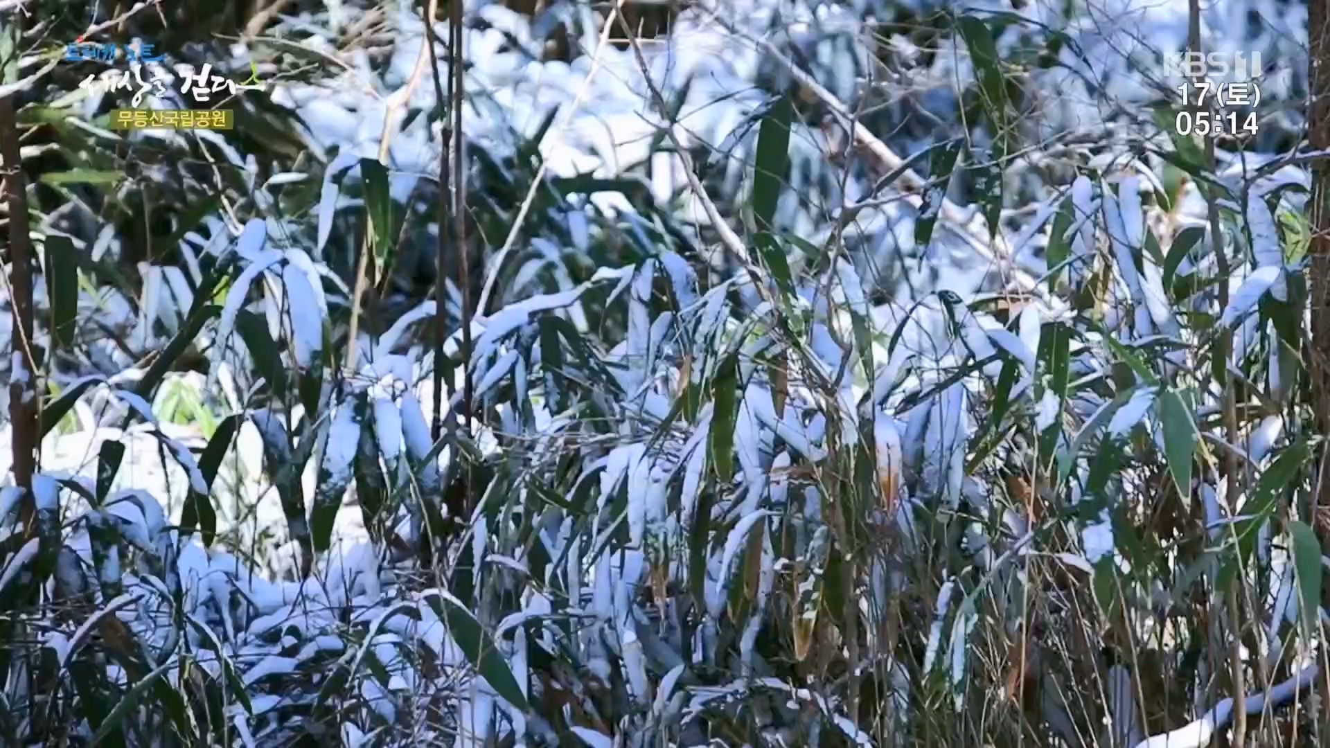 트레킹노트 세상을 걷다.E308.240217p.H264-F1RST.mp4_20240316_173535.719.jpg