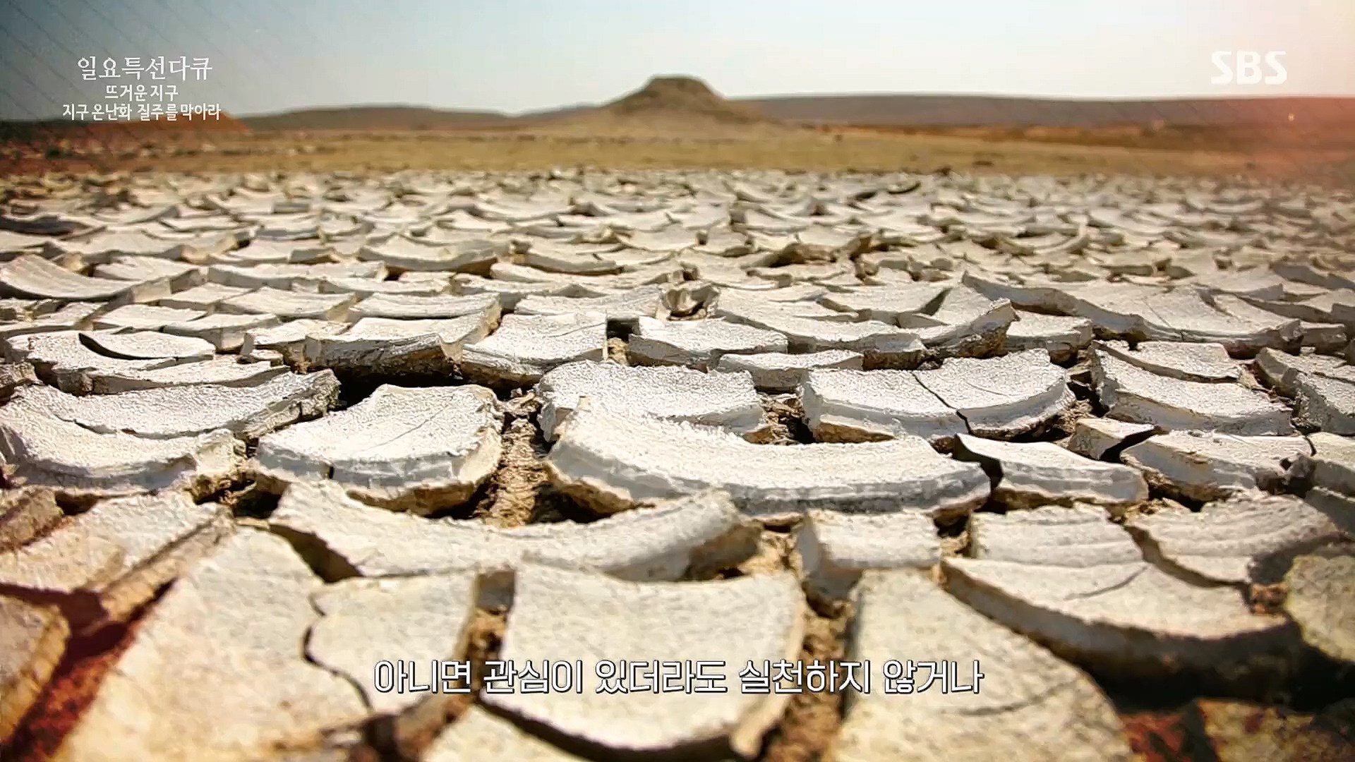 일요 특선 다큐멘터리.E309.230326p.H264-F1RST.mp4_20230326_154540.430.jpg