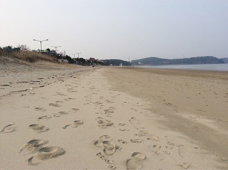  서천9경 제5경 춘장대해수욕장