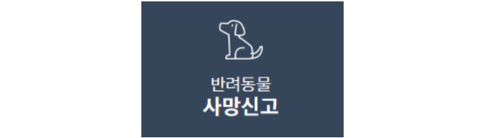 반려동물 사망신고 섬네일
